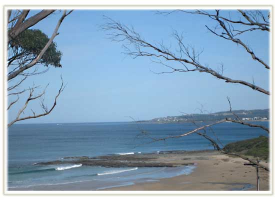 Apollo Bay Accommodation - Apollo's View - lounge detail 